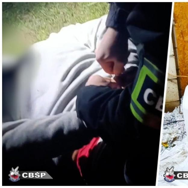 [VIDEO] Połączone siły pozwoliły zlikwidować kolejną fabrykę narkotyków. Zabezpieczono 204 kilogramy klefedronu